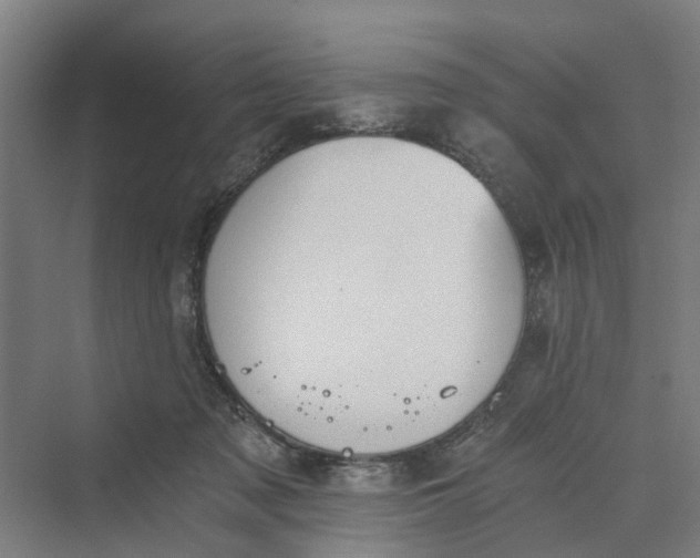 X0000069800317200606021446