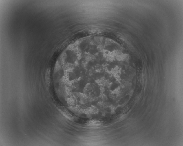 X0000069800319200606021446