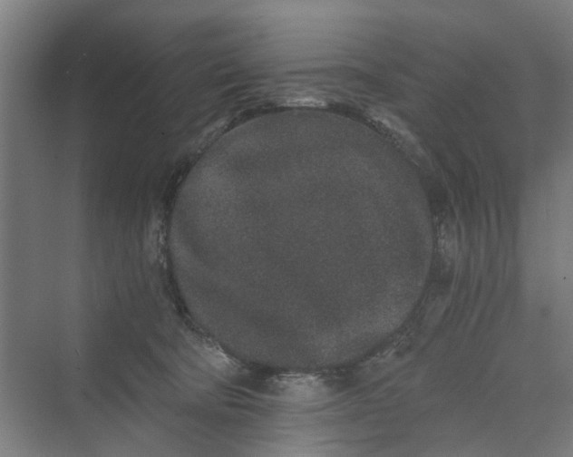 X0000069800322200606021446