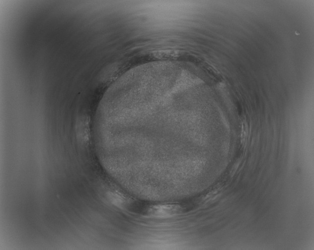 X0000069800323200606021446