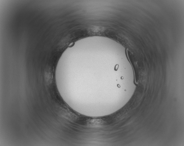 X0000069800324200606021446