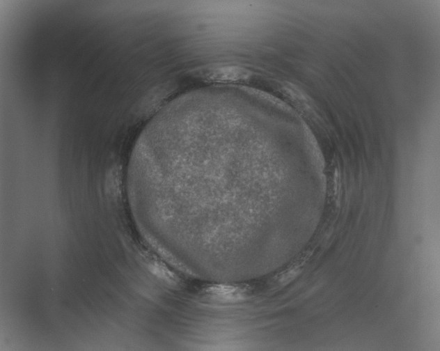 X0000069800326200606021446