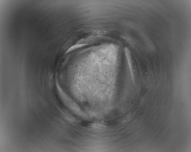 X0000069800327200606021446