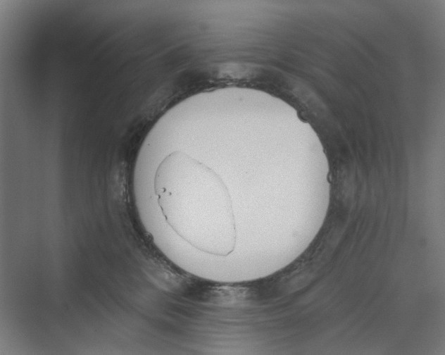 X0000069800328200606021446