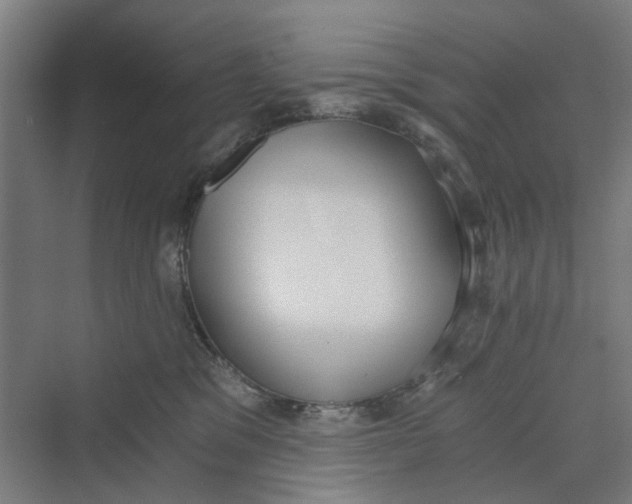 X0000069800329200606021446