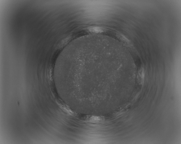 X0000069800330200606021446