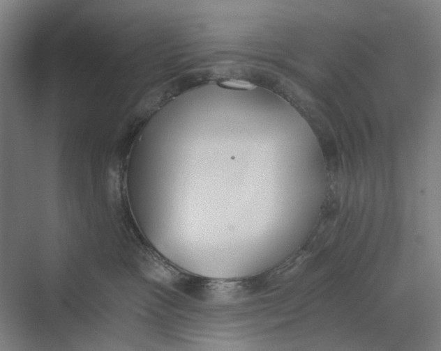 X0000069800333200606021446