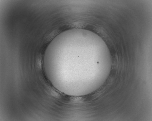 X0000069800334200606021446