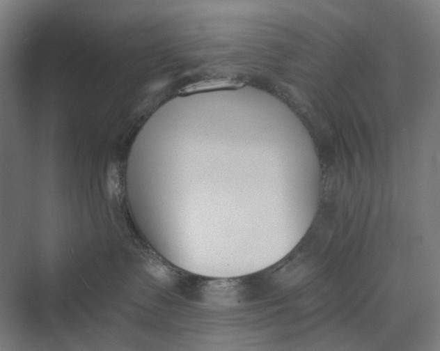 X0000069800335200606021446