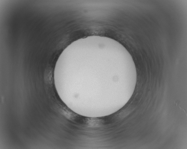 X0000069800336200606021446