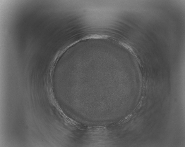 X0000069800337200606021445