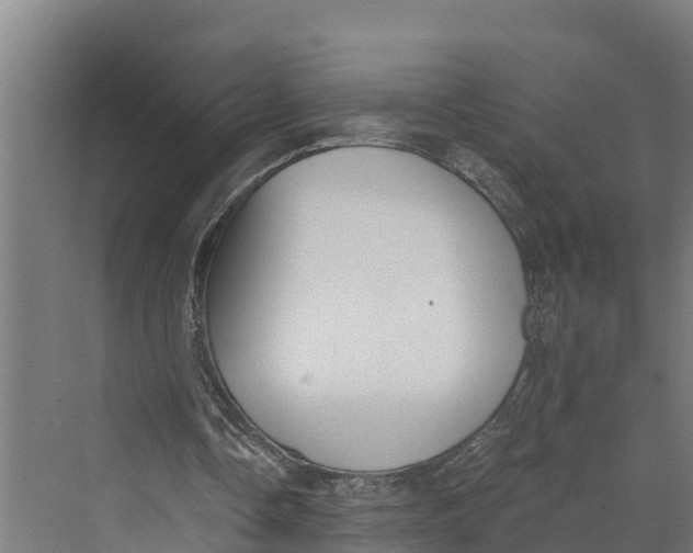 X0000069800338200606021445