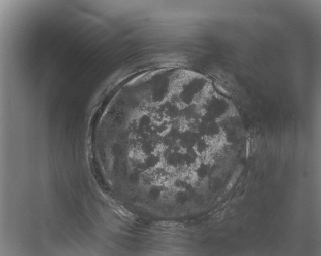 X0000069800339200606021445