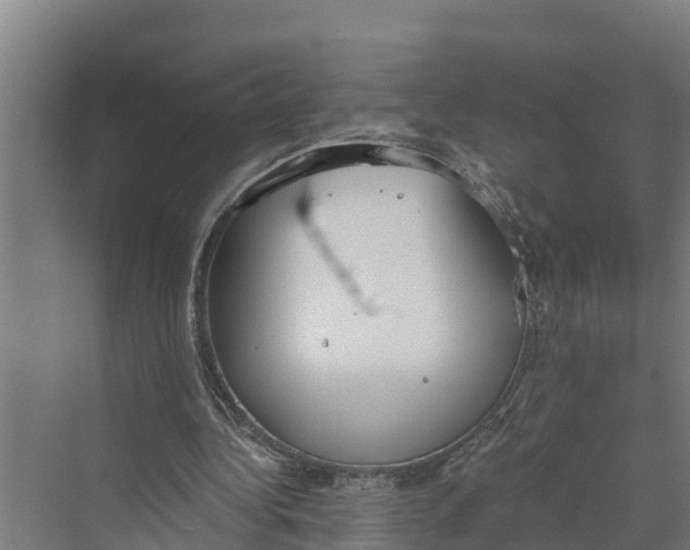 X0000069800340200606021445