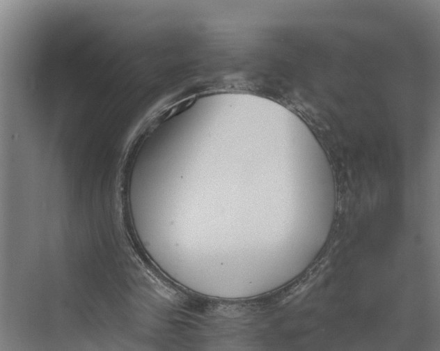 X0000069800341200606021445