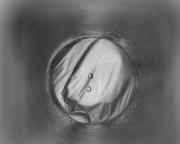 X0000069800342200606021445