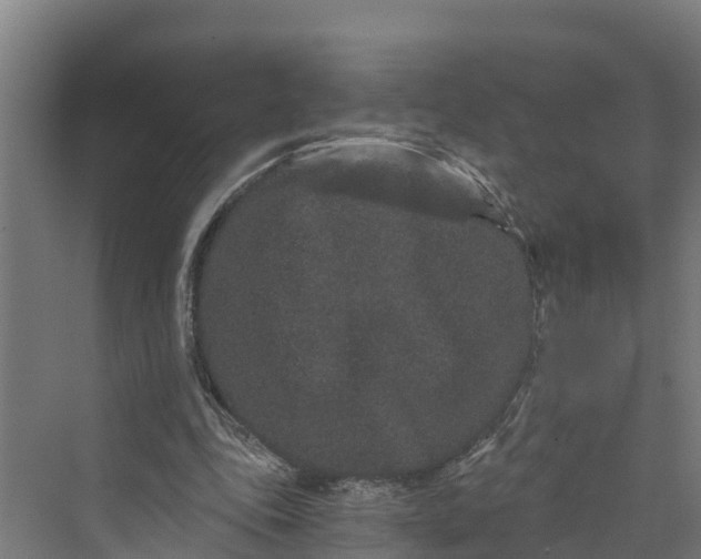 X0000069800343200606021445