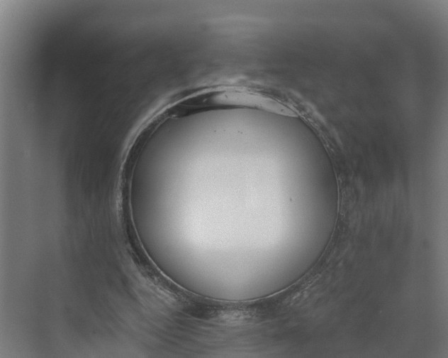 X0000069800344200606021445