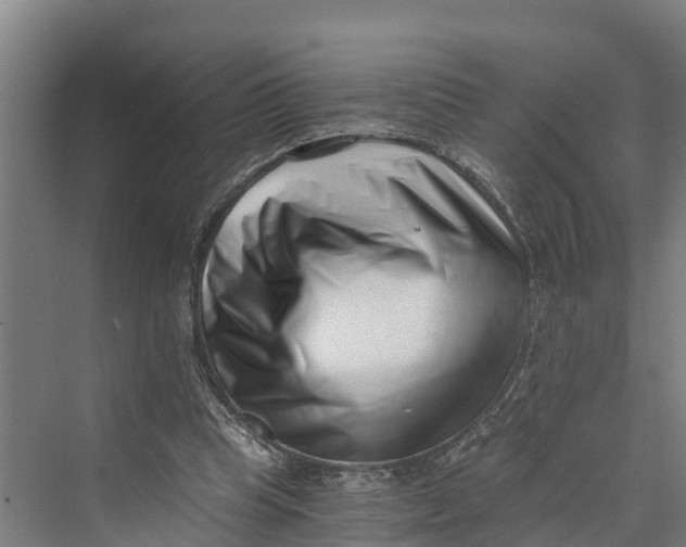 X0000069800345200606021445