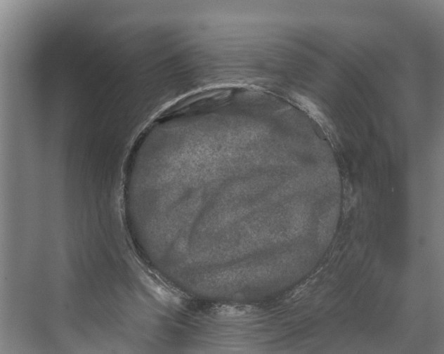 X0000069800346200606021445