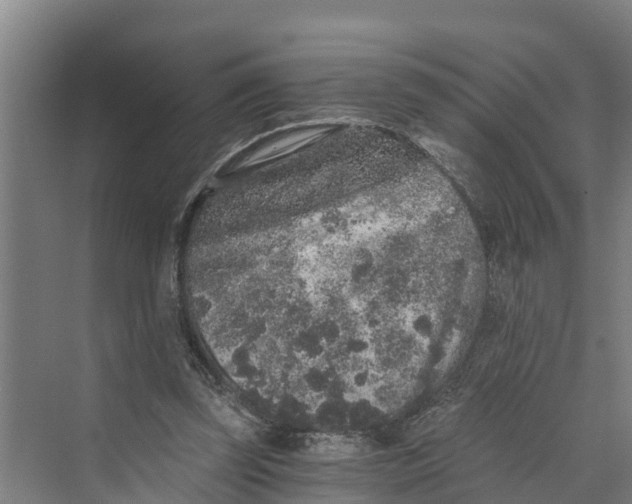 X0000069800347200606021445