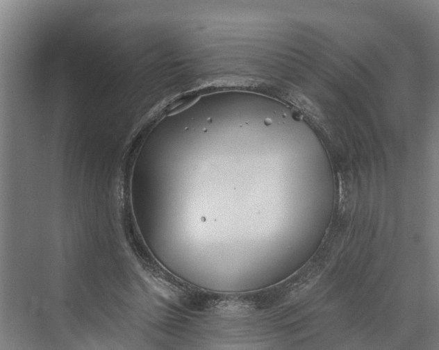 X0000069800348200606021445