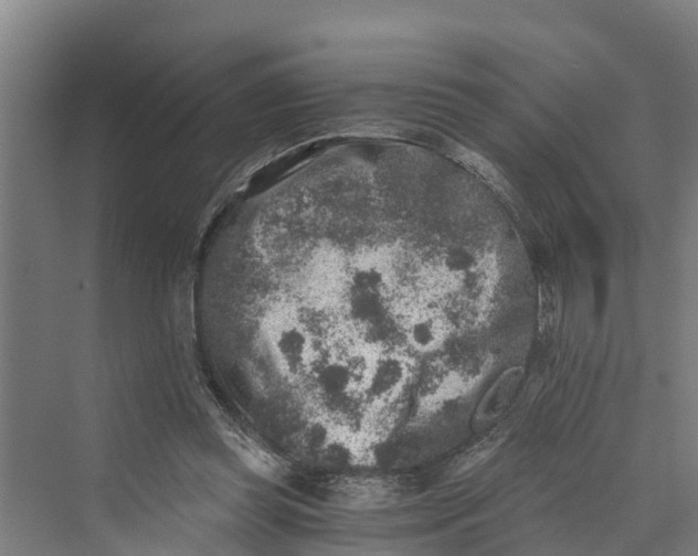 X0000069800349200606021445