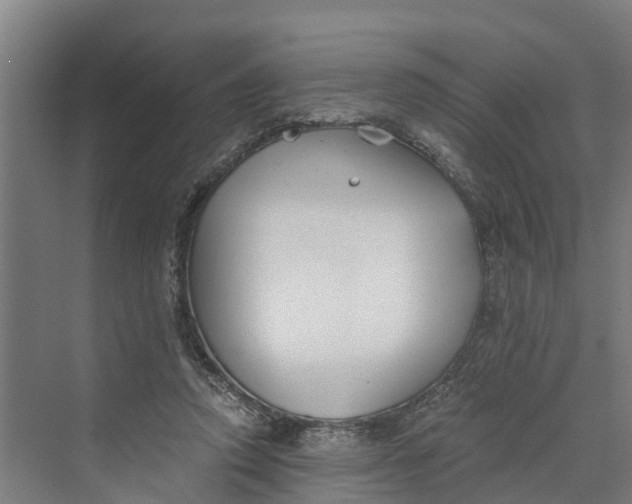 X0000069800354200606021445