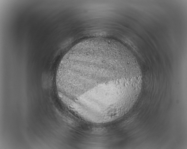 X0000069800355200606021445