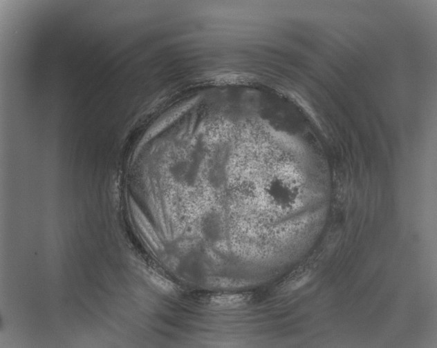 X0000069800357200606021445