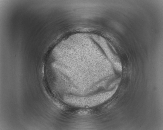 X0000069800358200606021445