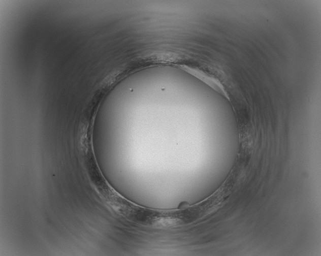 X0000069800360200606021445