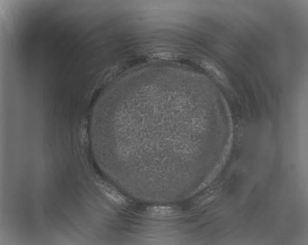 X0000069800361200606021445