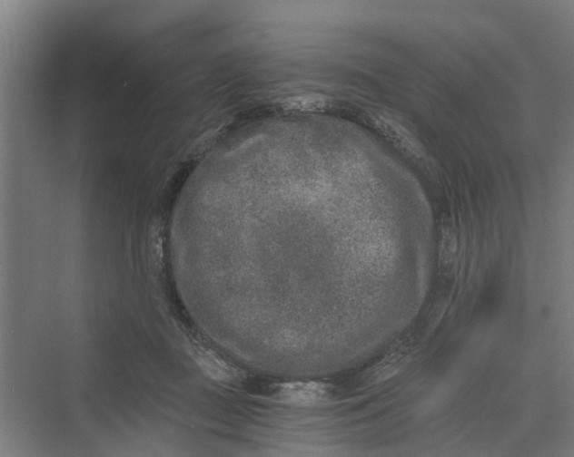 X0000069800363200606021445