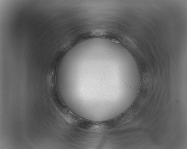 X0000069800364200606021445