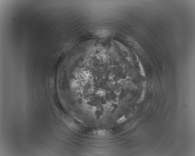 X0000069800365200606021445