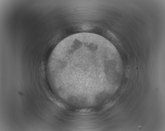 X0000069800366200606021445