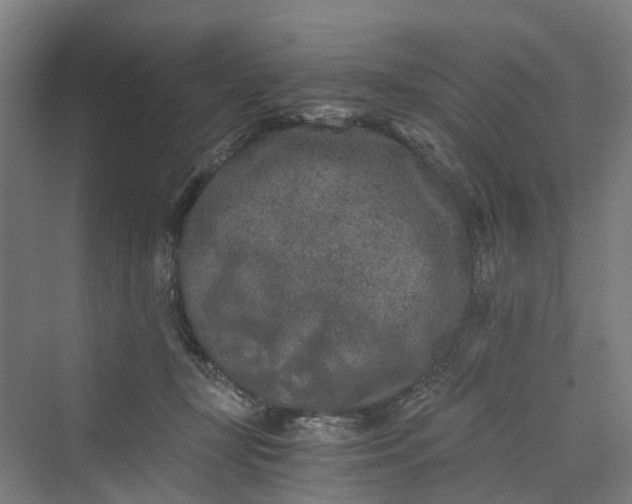 X0000069800367200606021445