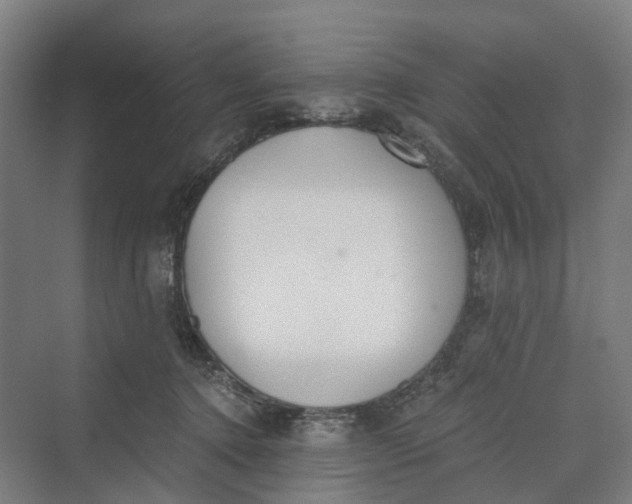 X0000069800368200606021445