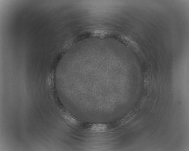 X0000069800369200606021445