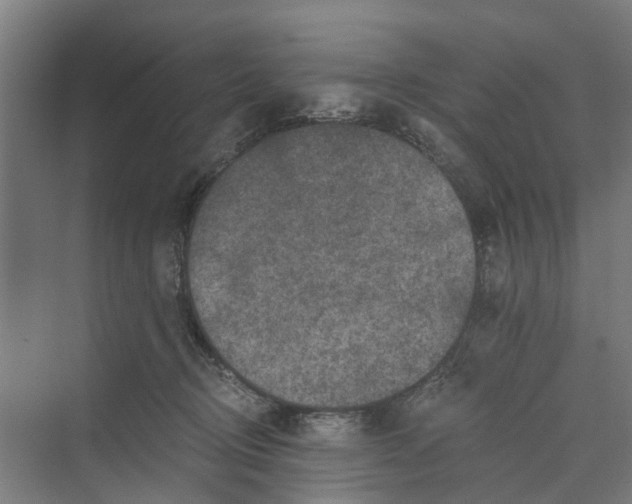 X0000069800370200606021445