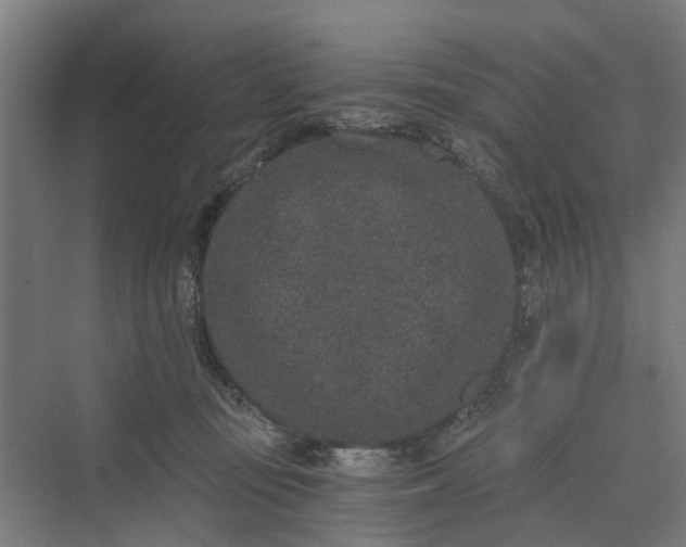 X0000069800371200606021445