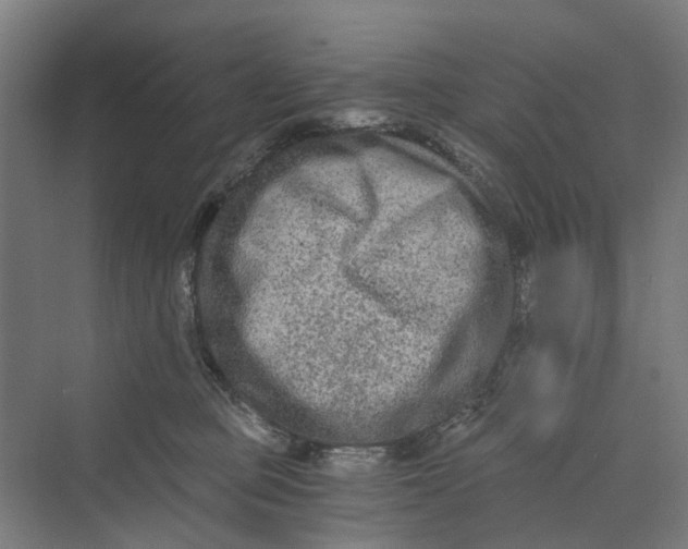 X0000069800373200606021445