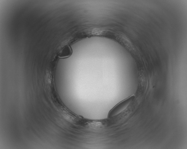 X0000069800374200606021445