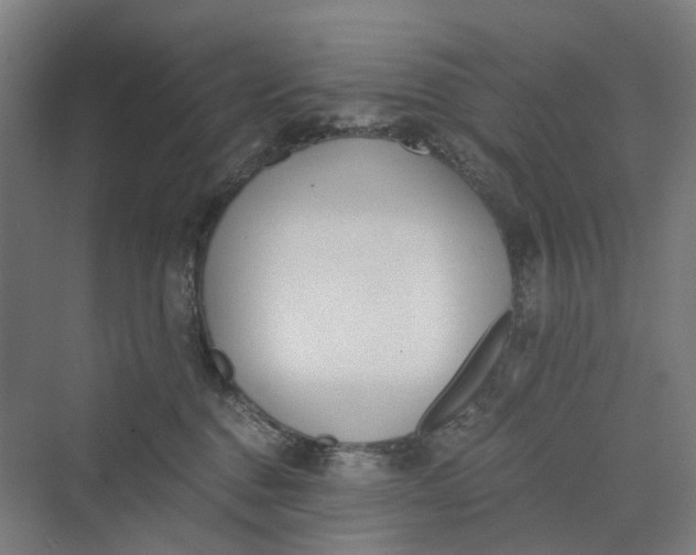 X0000069800376200606021445