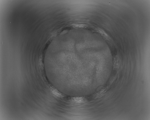 X0000069800377200606021445