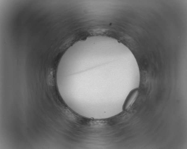 X0000069800378200606021445