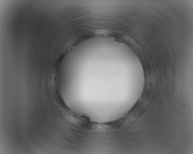 X0000069800379200606021445