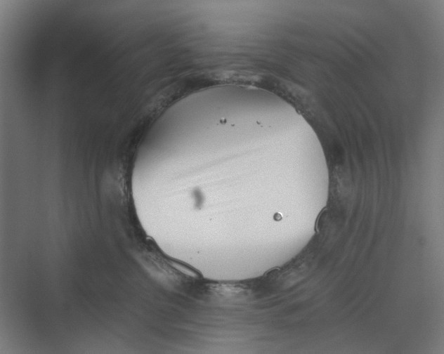 X0000069800380200606021445