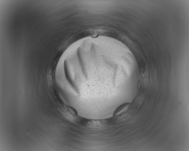 X0000069800381200606021445